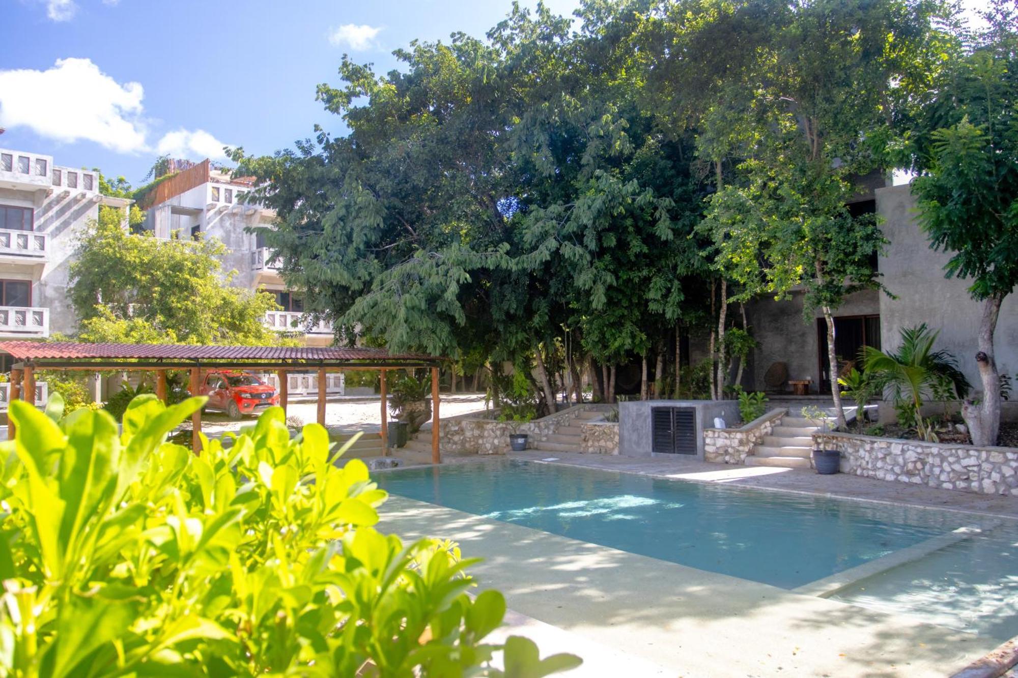 Hotel Casa Tortuga Tulum - Cenotes Park Inclusive Eksteriør bilde The swimming pool at the hotel