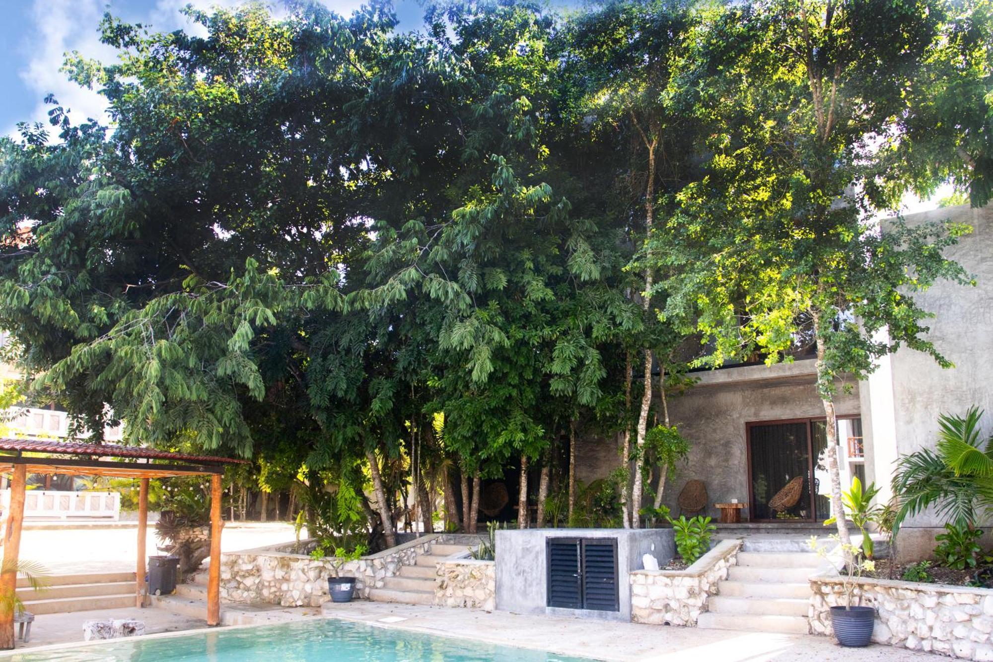 Hotel Casa Tortuga Tulum - Cenotes Park Inclusive Eksteriør bilde Casa Periódica, Mérida, Yucatán, Mexico