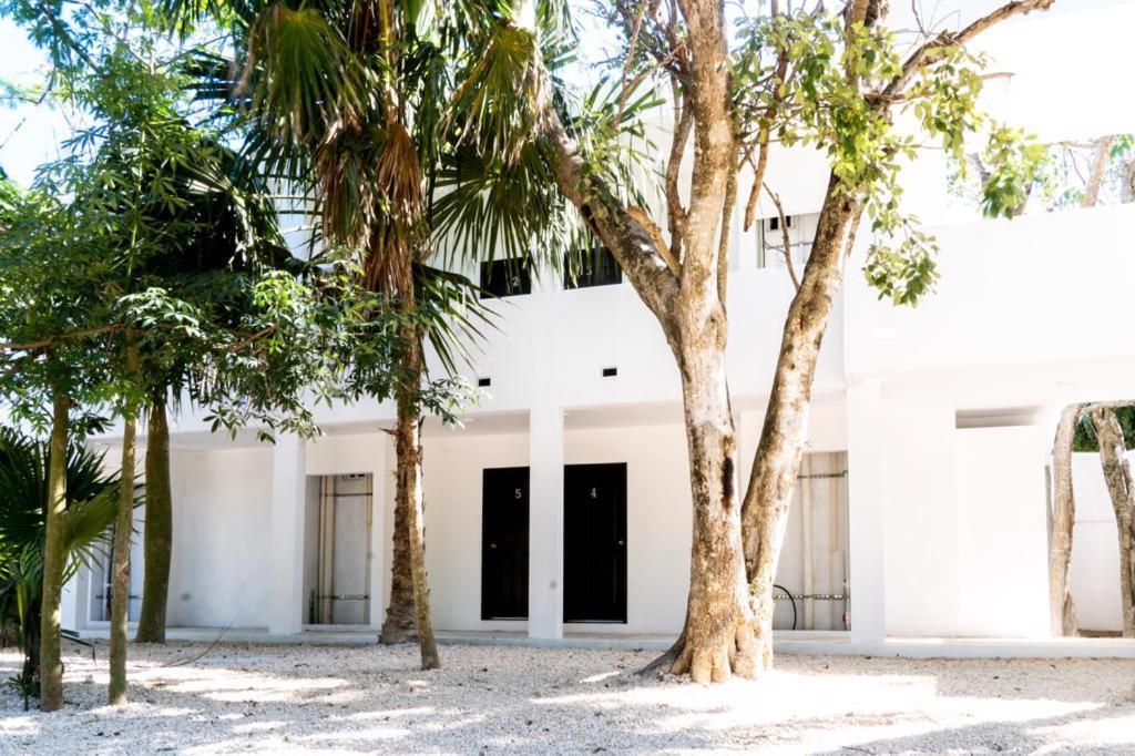 Hotel Casa Tortuga Tulum - Cenotes Park Inclusive Eksteriør bilde The house of the writer, in Mérida, Yucatán.
